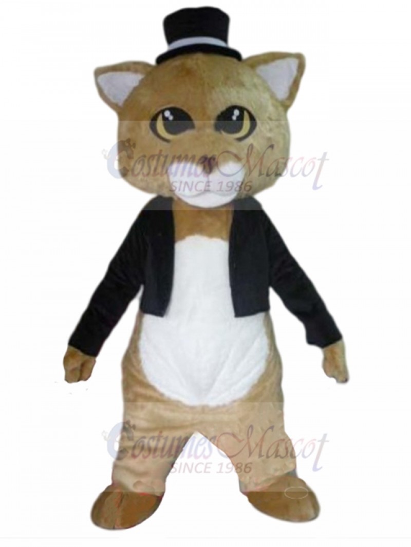 cat mascot costume