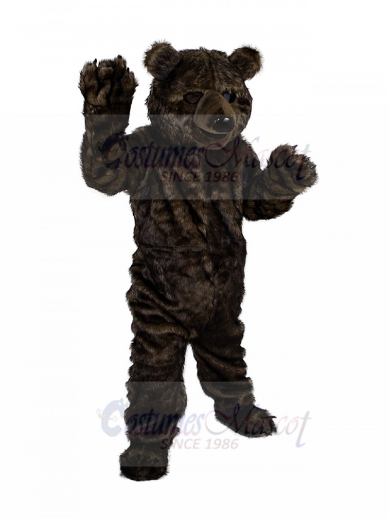 bear mascot costume