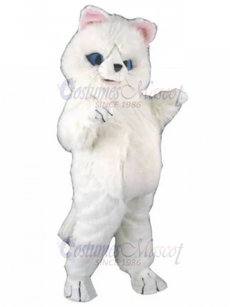 cat mascot costume