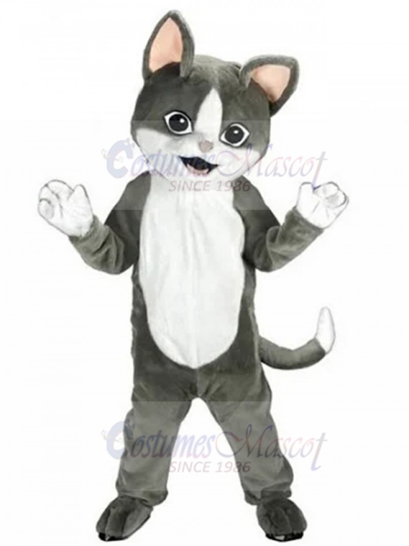 cat mascot costume