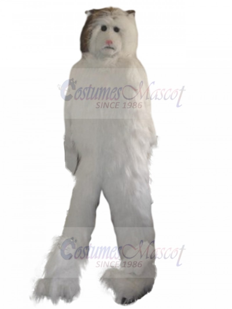 cat mascot costume