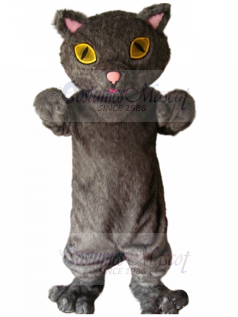 cat mascot costume
