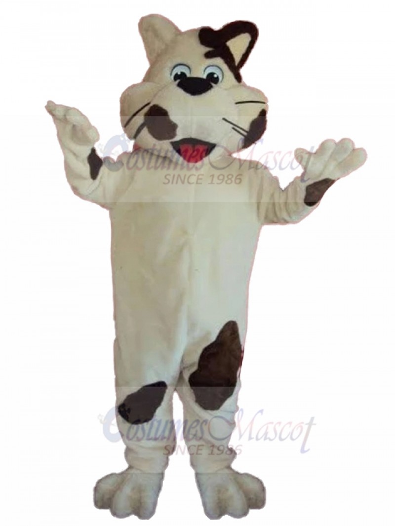 cat mascot costume