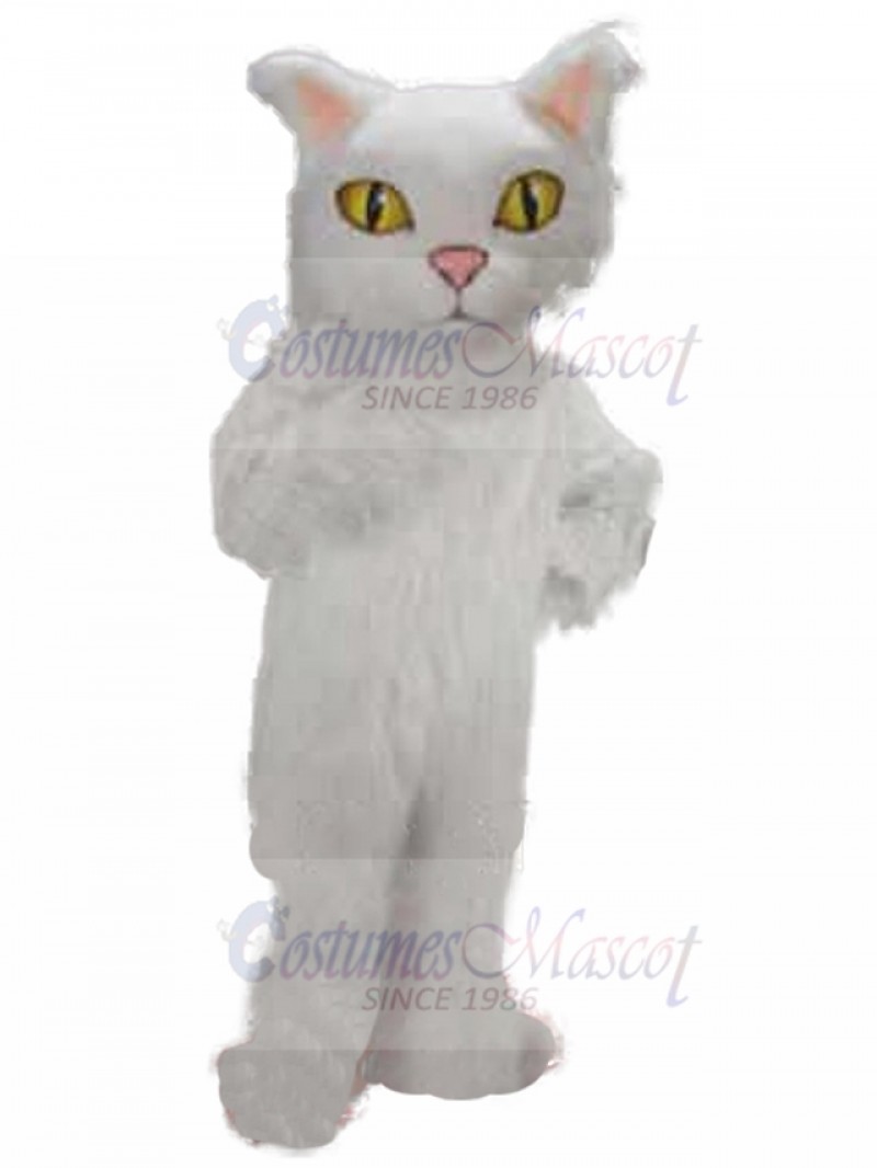 cat mascot costume