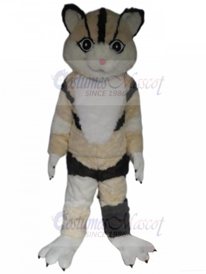 cat mascot costume