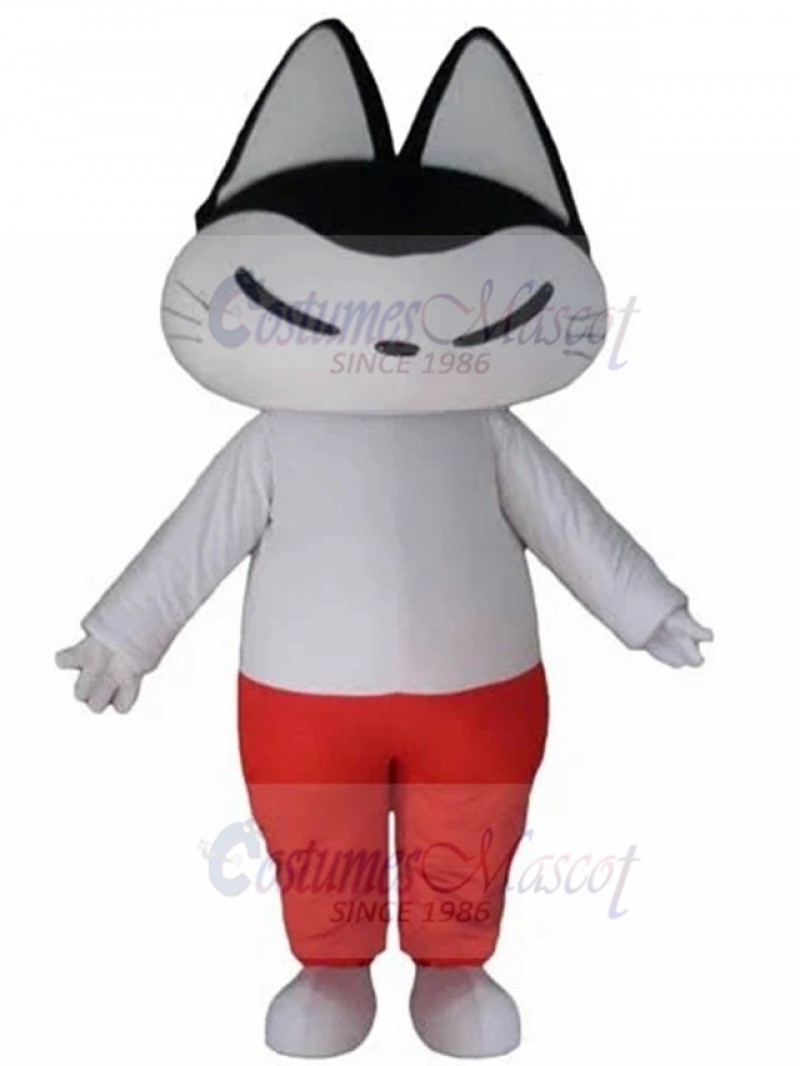 cat mascot costume