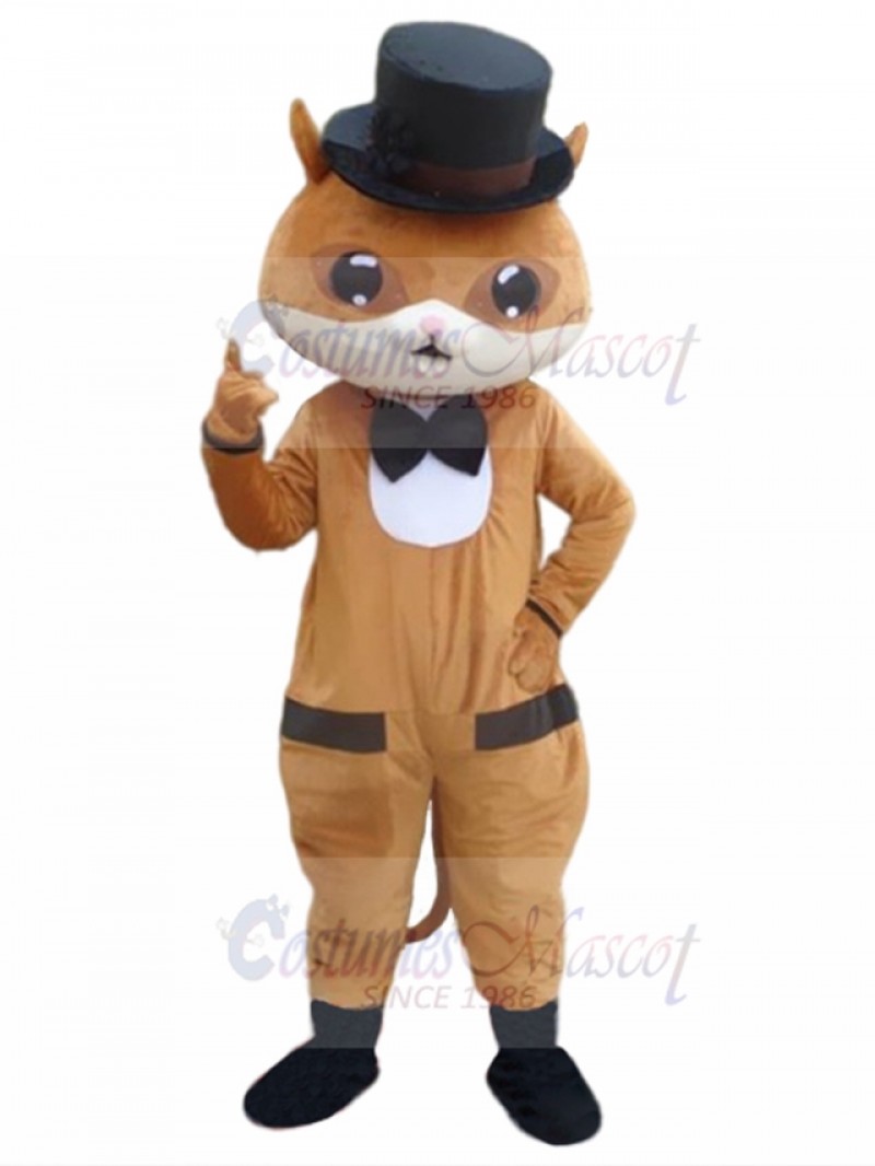 cat mascot costume