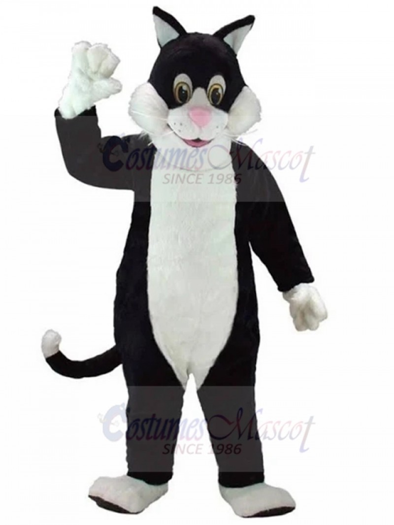 cat mascot costume