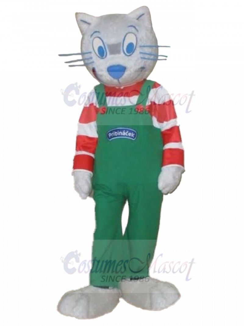 cat mascot costume