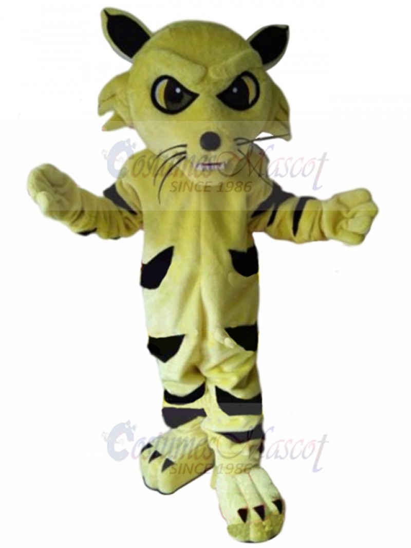 cat mascot costume