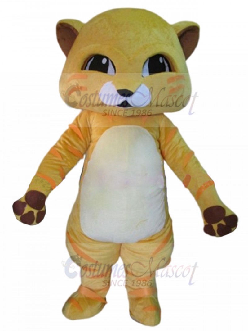 cat mascot costume