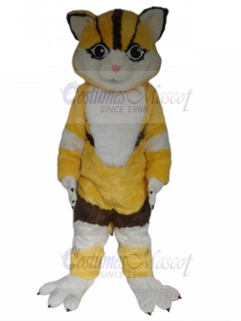 cat mascot costume