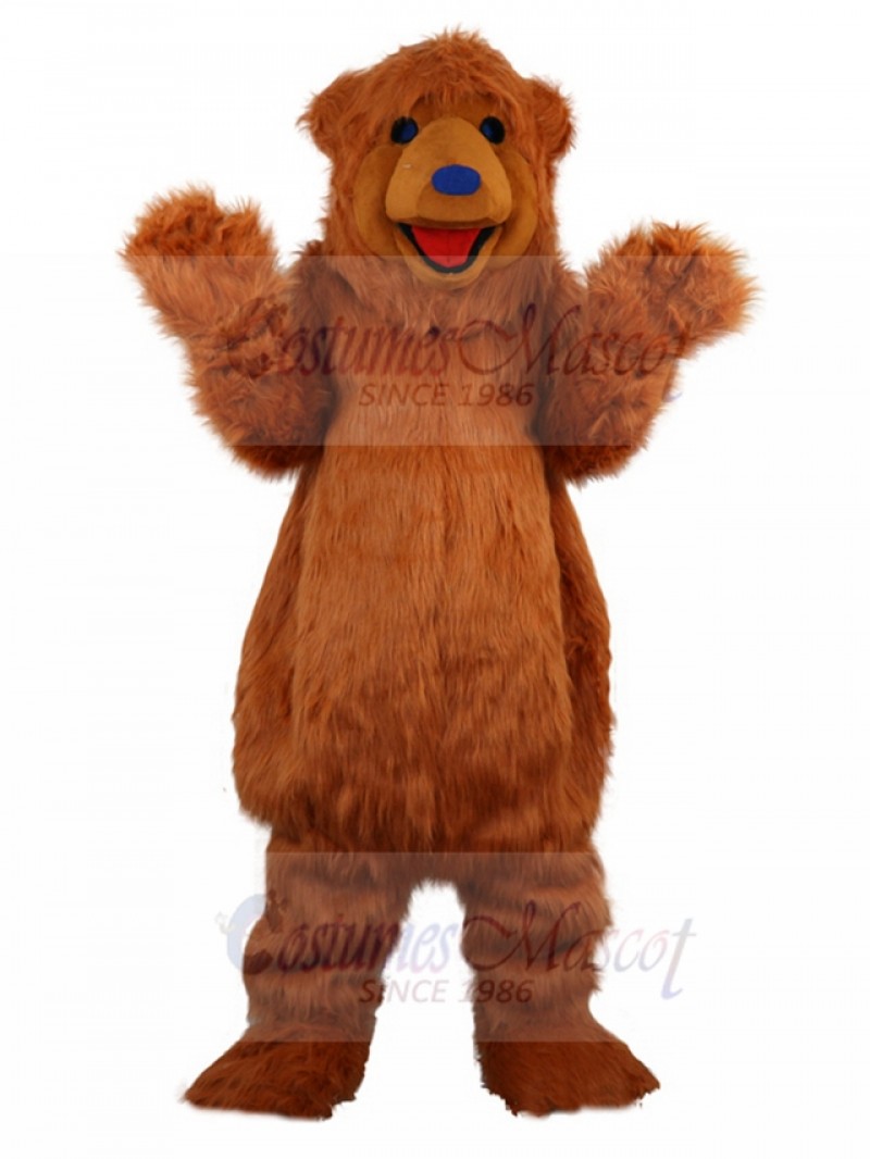bear mascot costume