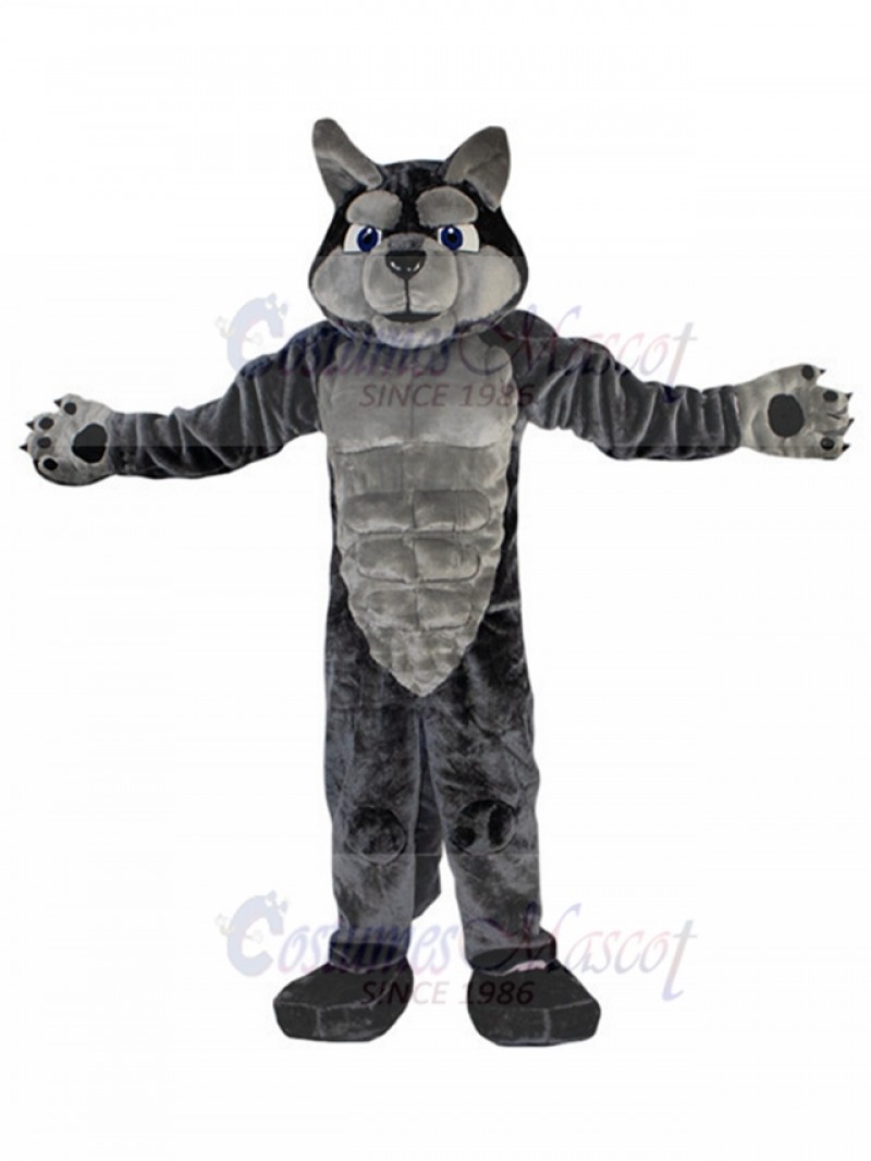 wolf mascot costume