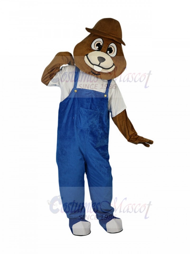 mole mascot costume