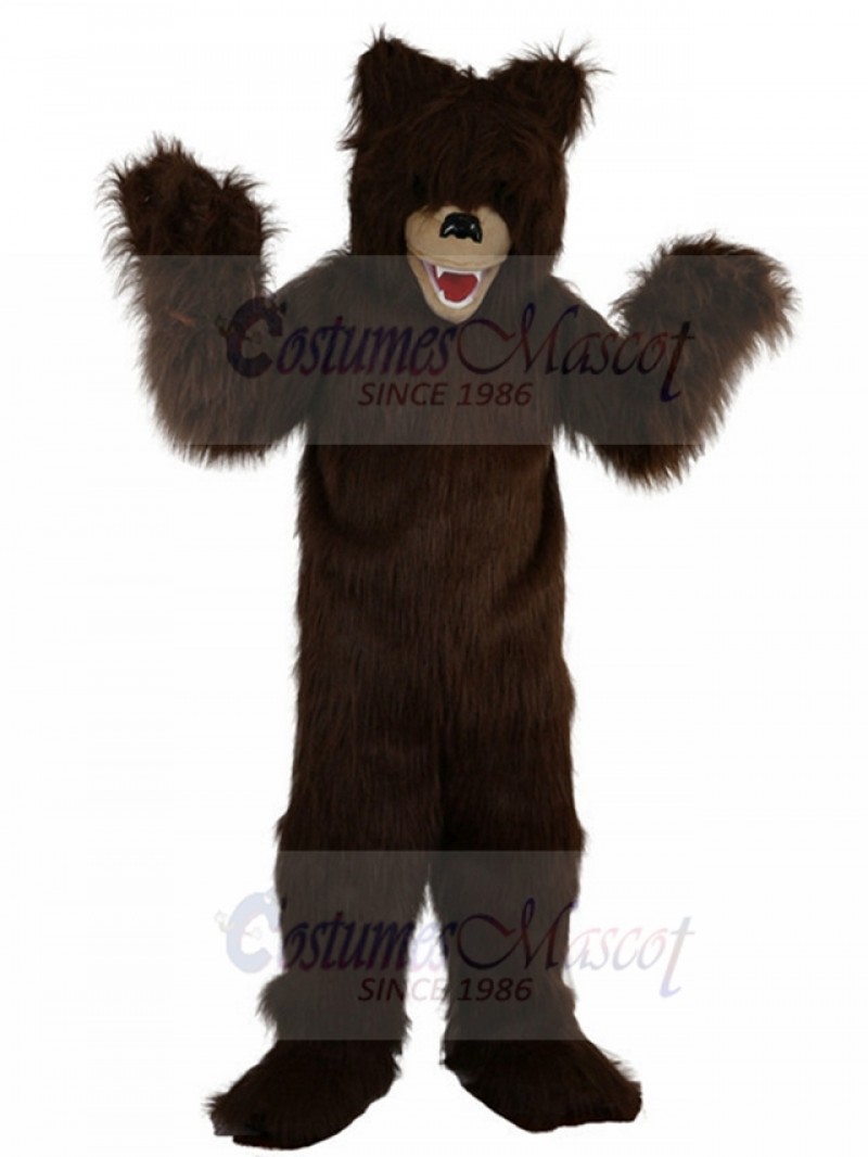 bear mascot costume