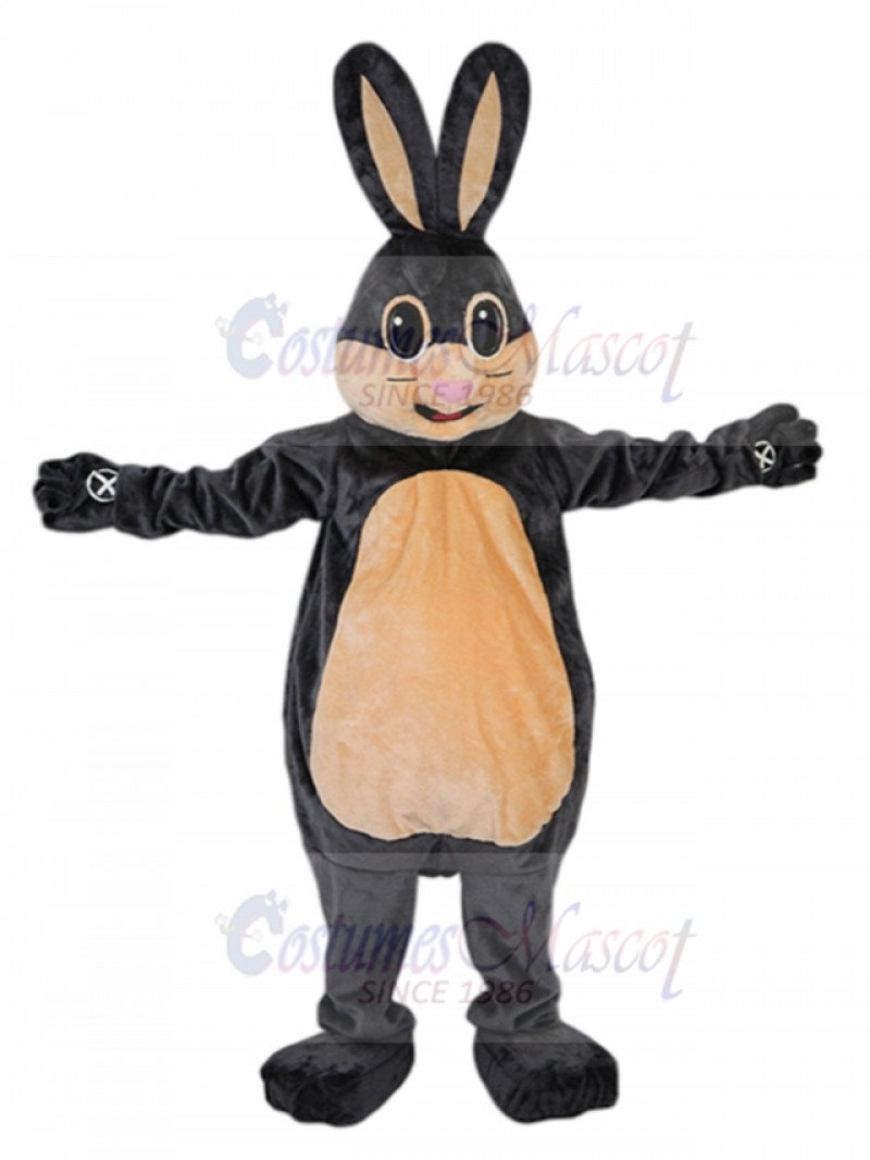 Rabbit mascot costume