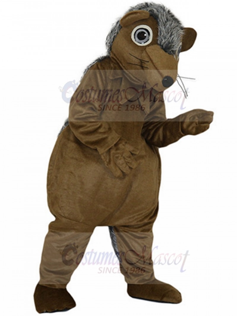 Hedgehog Mascot Costume