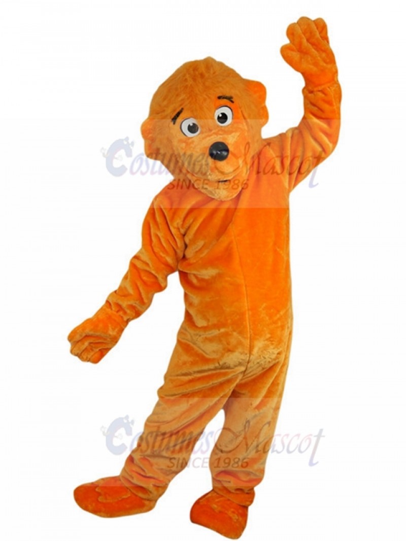 bear mascot costume