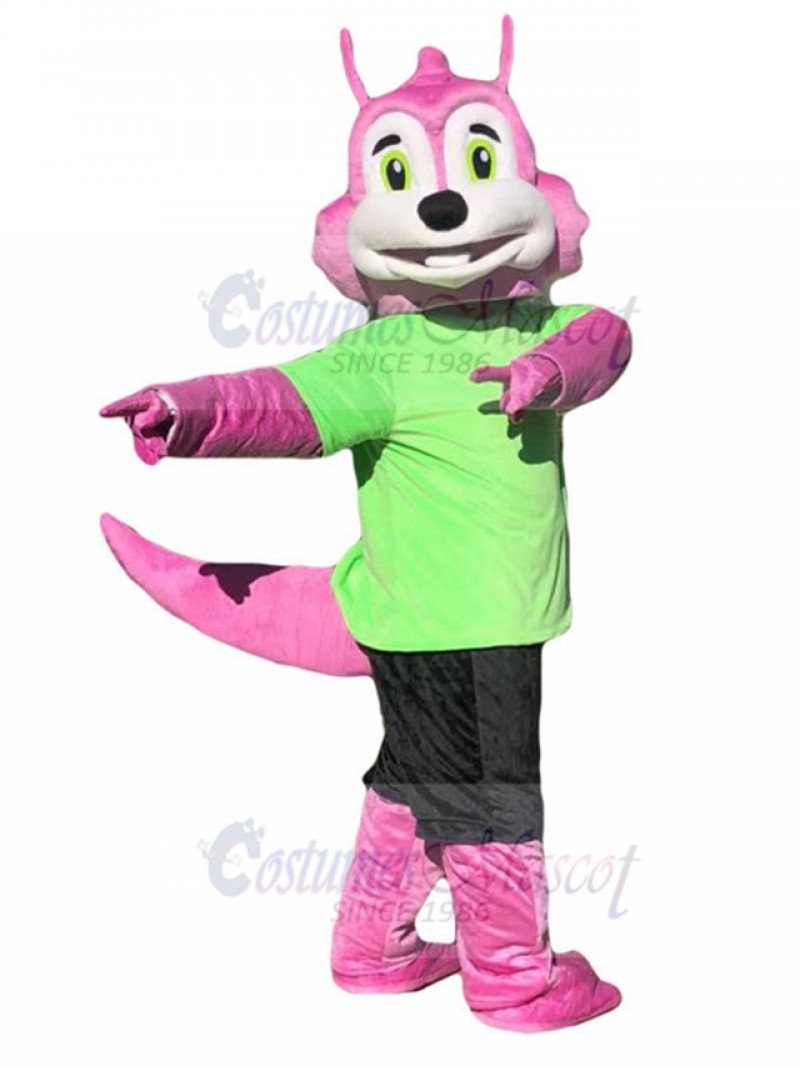 Squirrel mascot costume