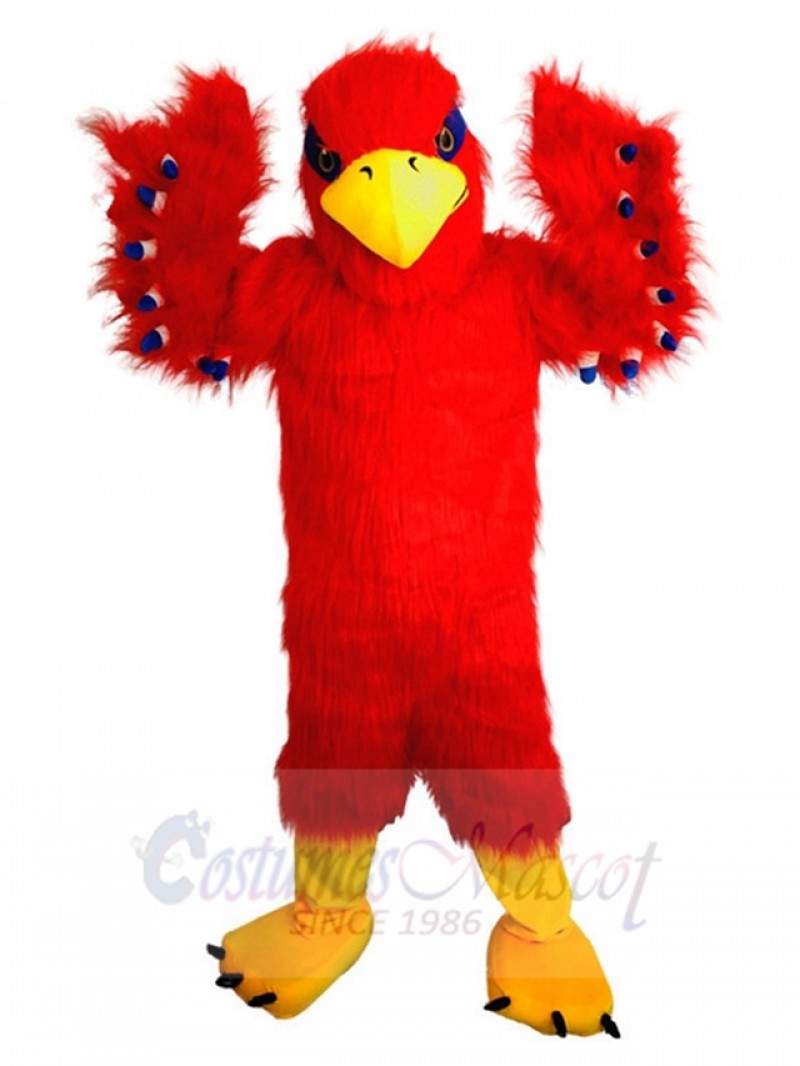 Eagle mascot costume