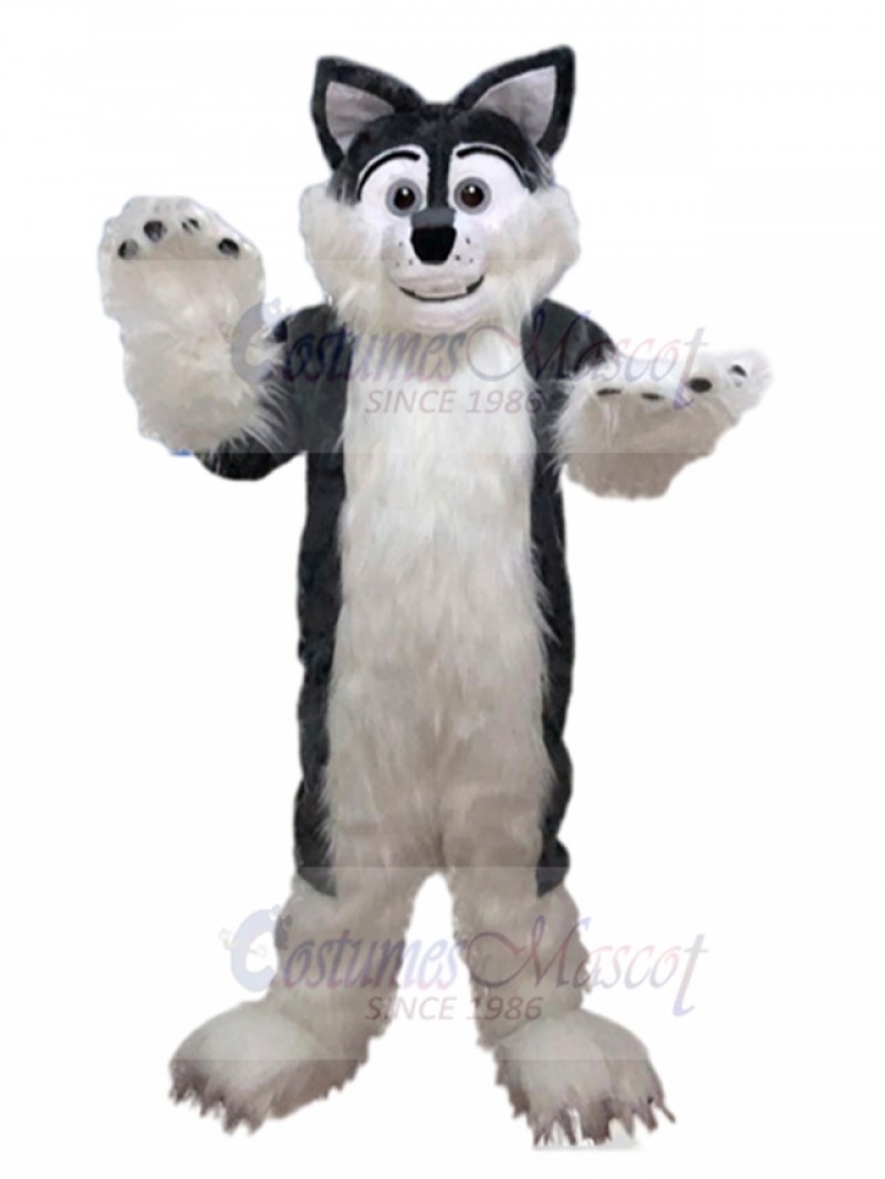 wolf mascot costume