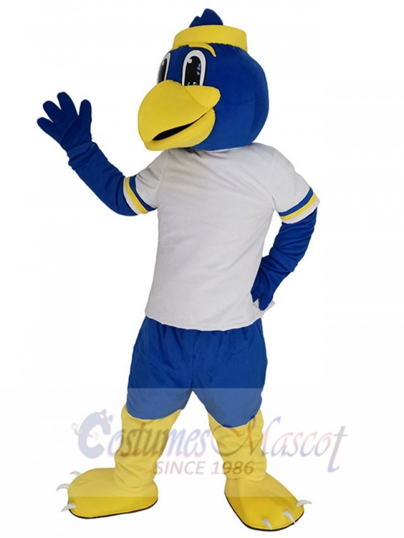 Bird mascot costume