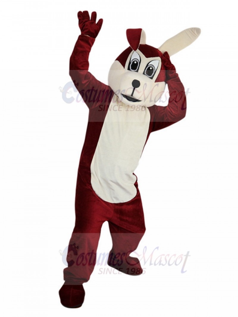 wolf mascot costume