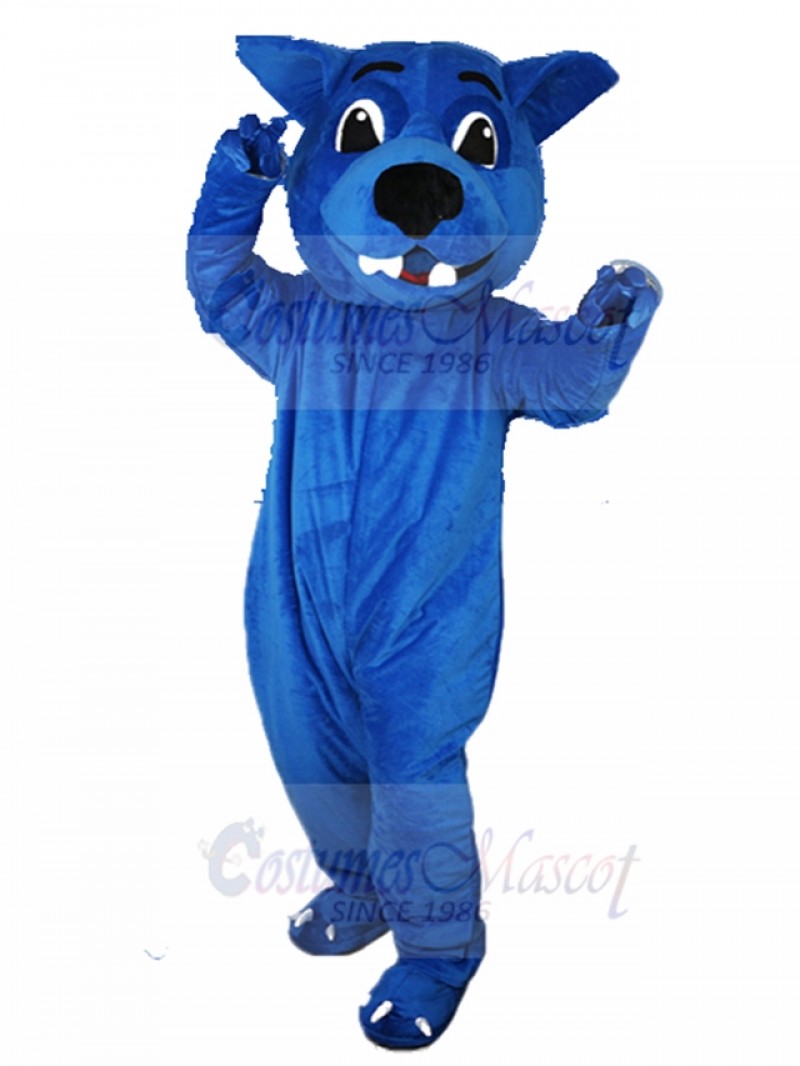 wolf mascot costume