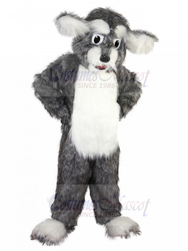 dog mascot costume