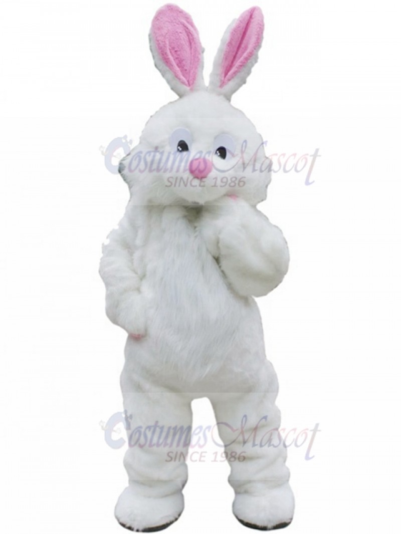 Rabbit mascot costume