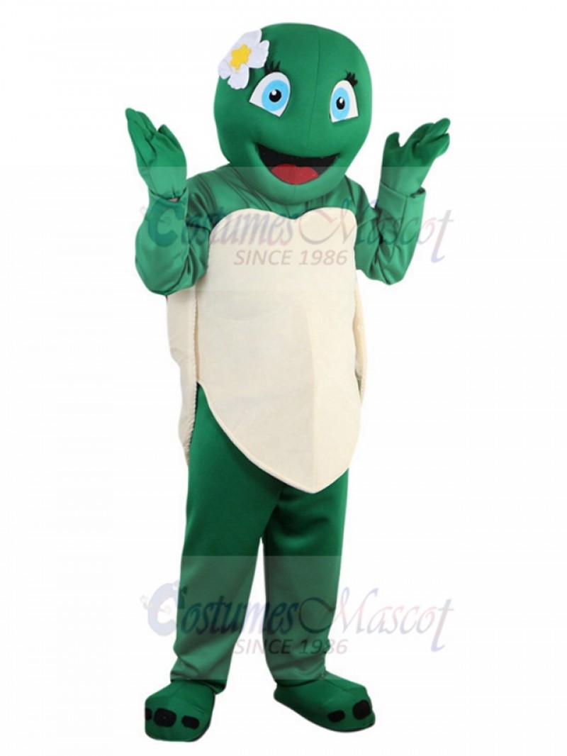 Turtle mascot costume