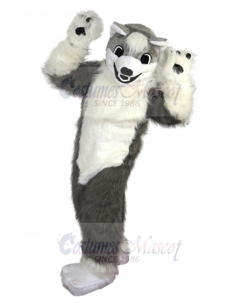 wolf mascot costume