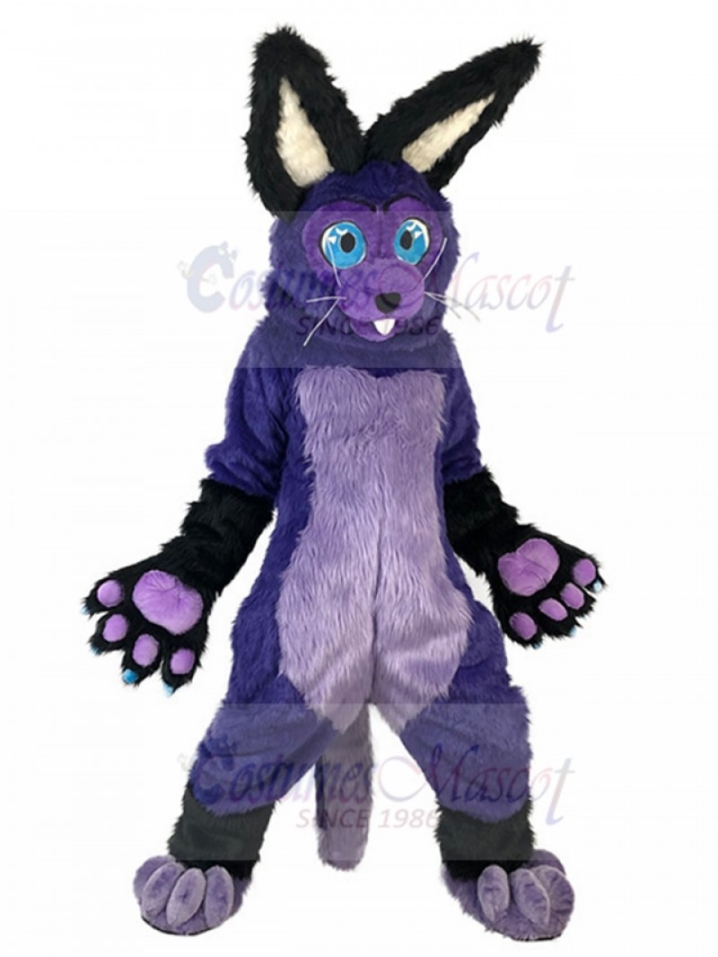 Rabbit mascot costume