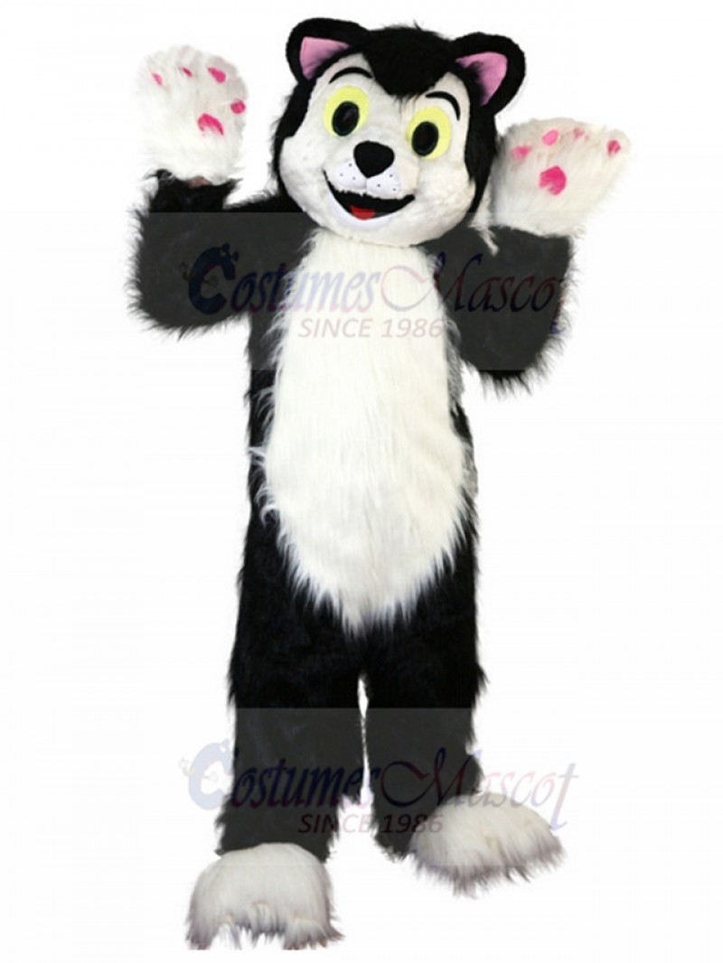 cat mascot costume