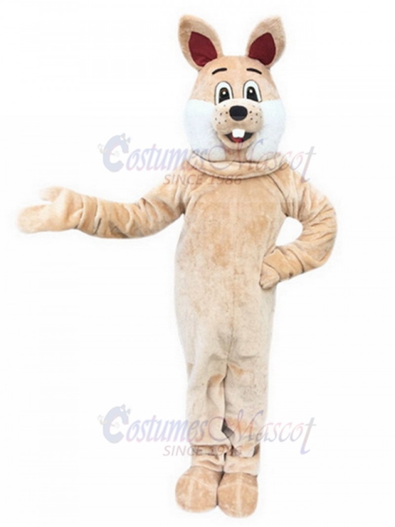 Rabbit mascot costume