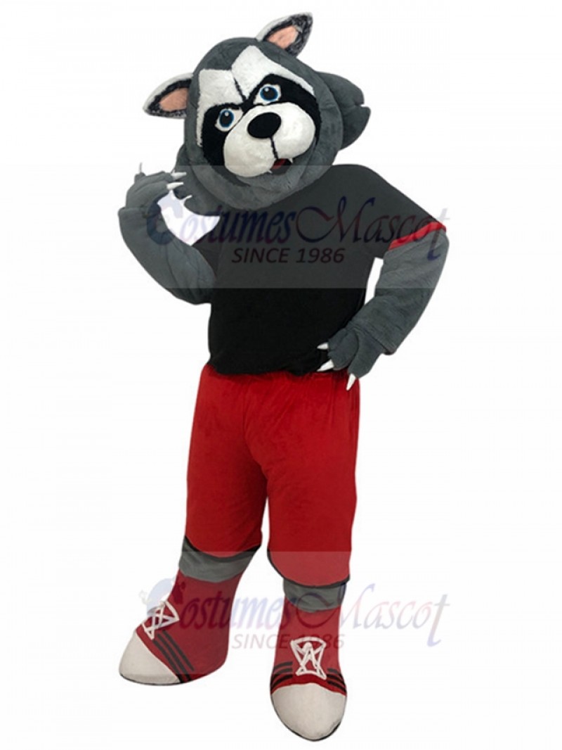 wolf mascot costume