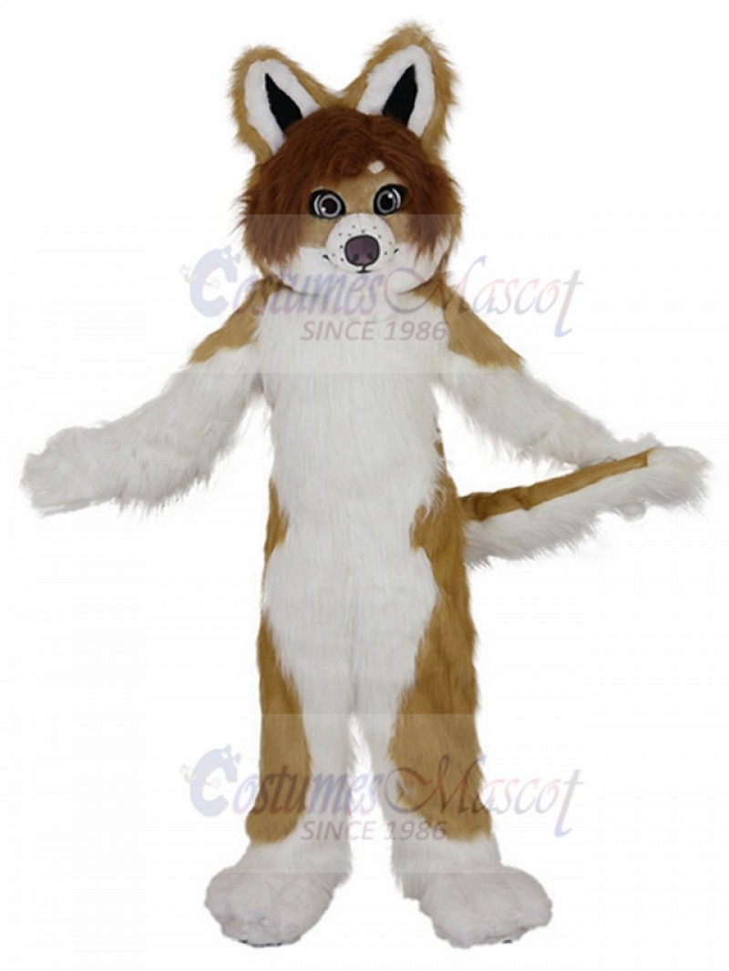 dog mascot costume