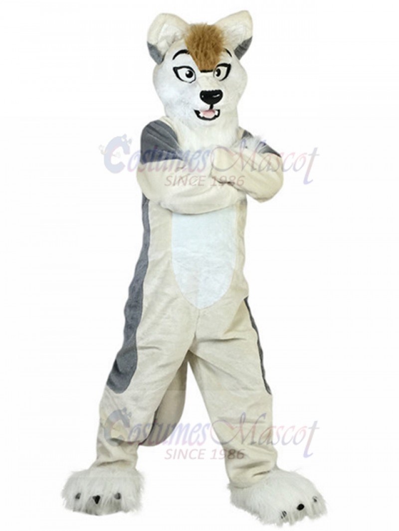 dog mascot costume