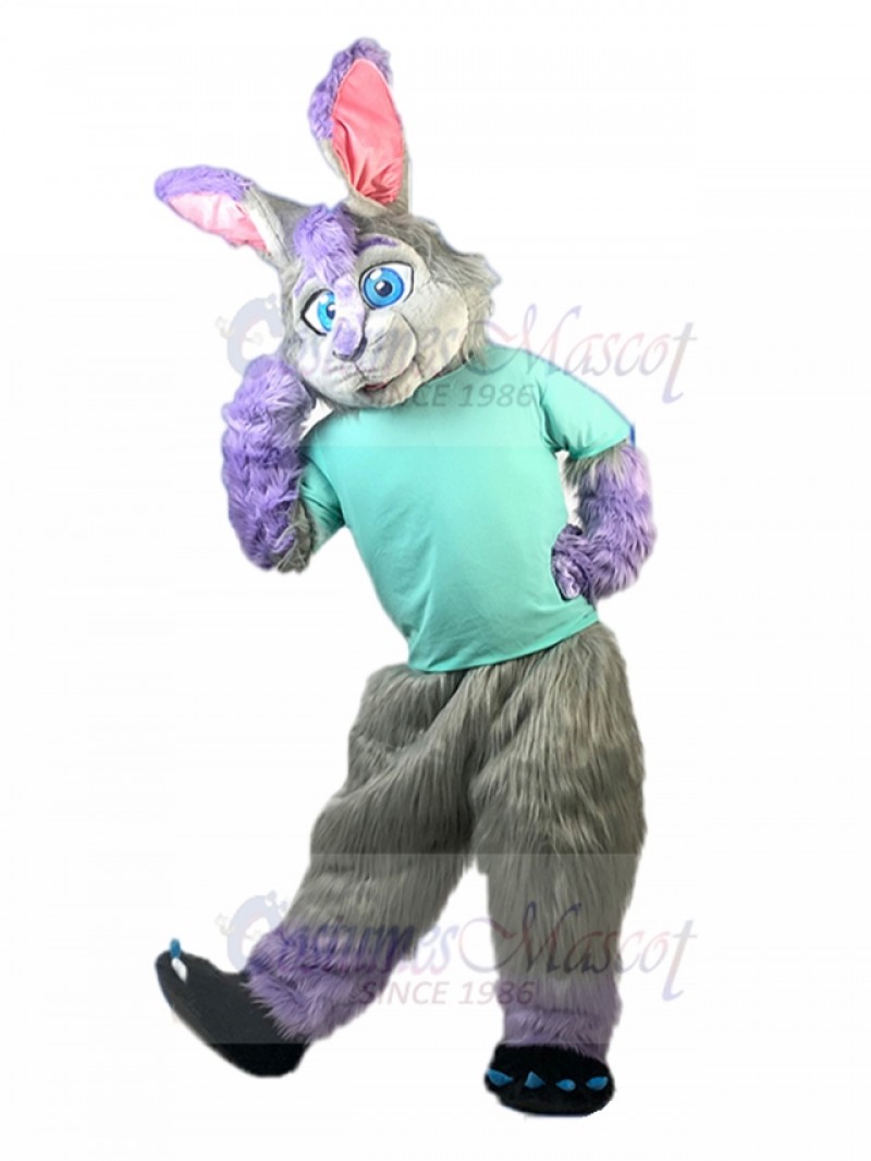 Rabbit mascot costume