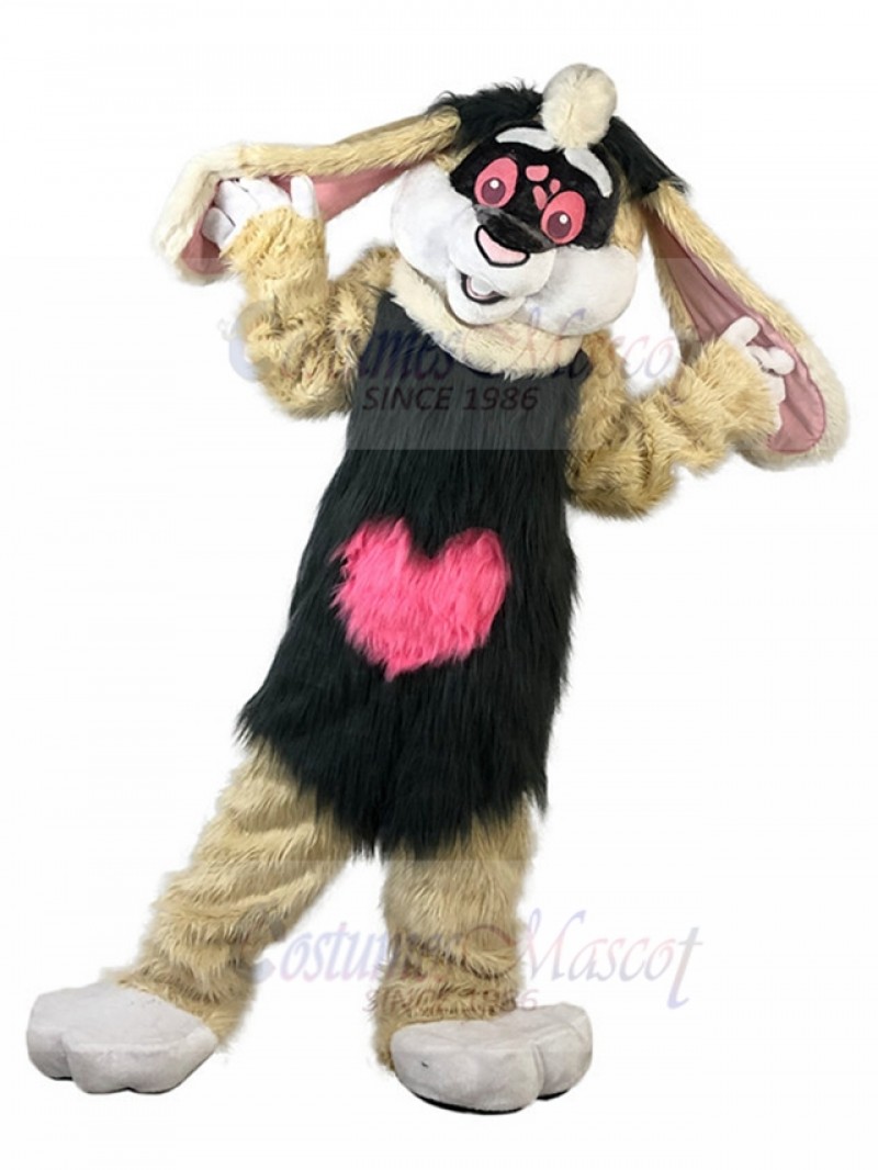 Rabbit mascot costume