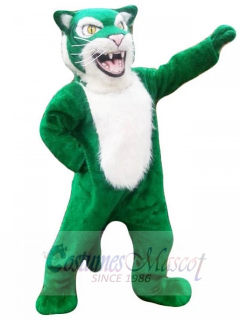 Tiger mascot costume