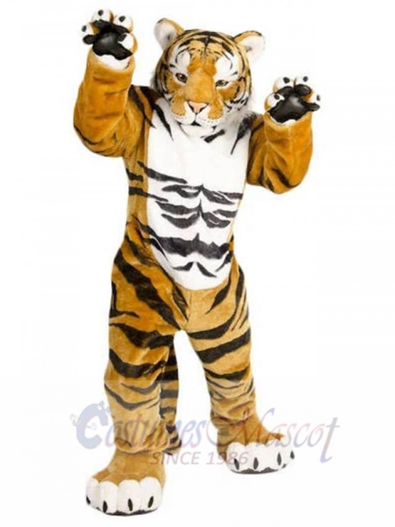 Tiger mascot costume