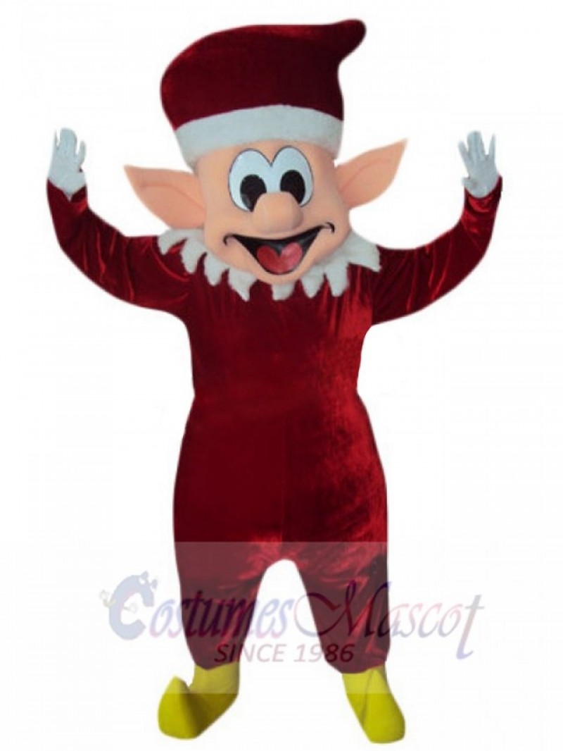 Elf mascot costume