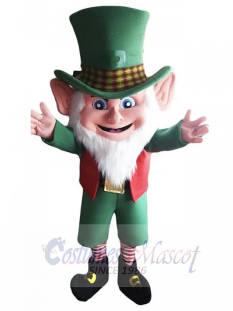 Leprechaun mascot costume