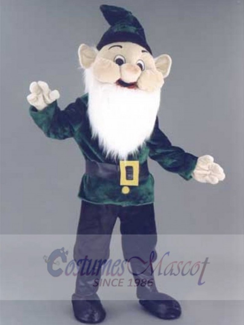 Elf mascot costume