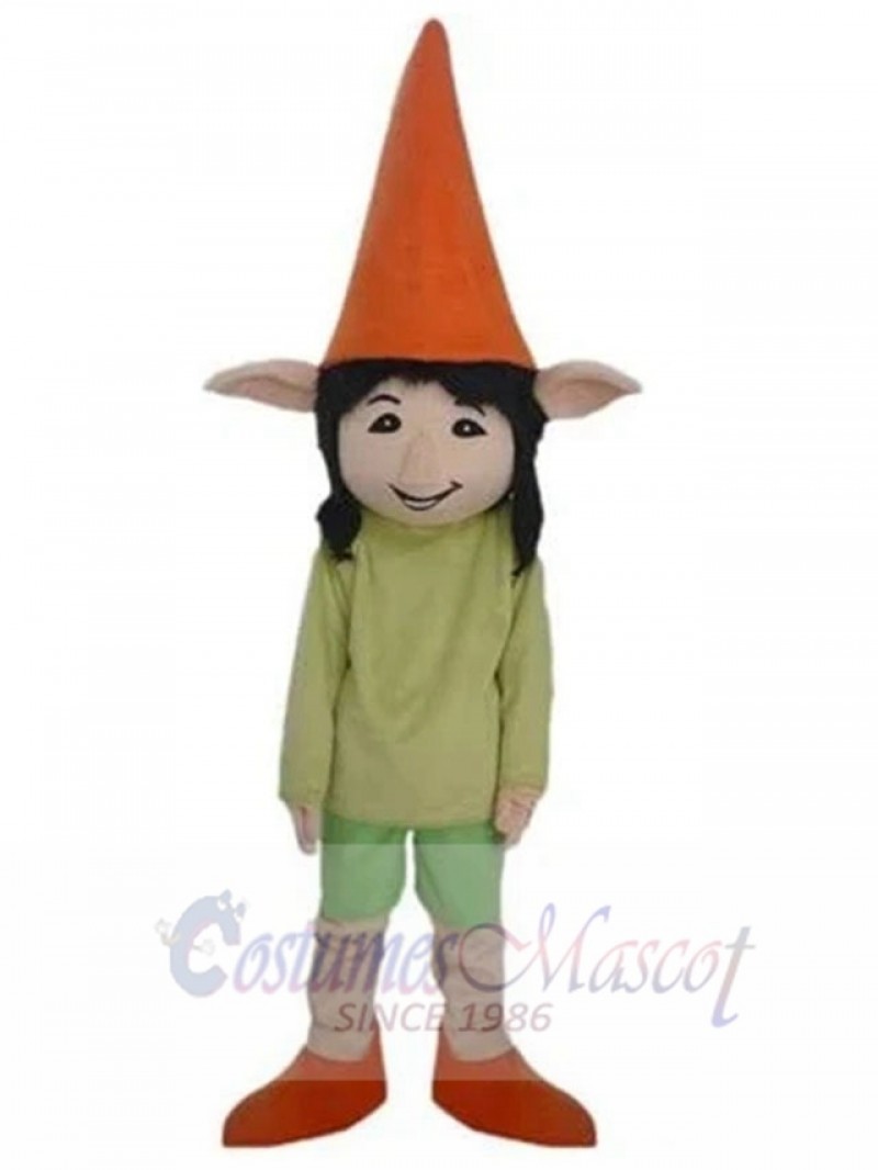 Elf mascot costume