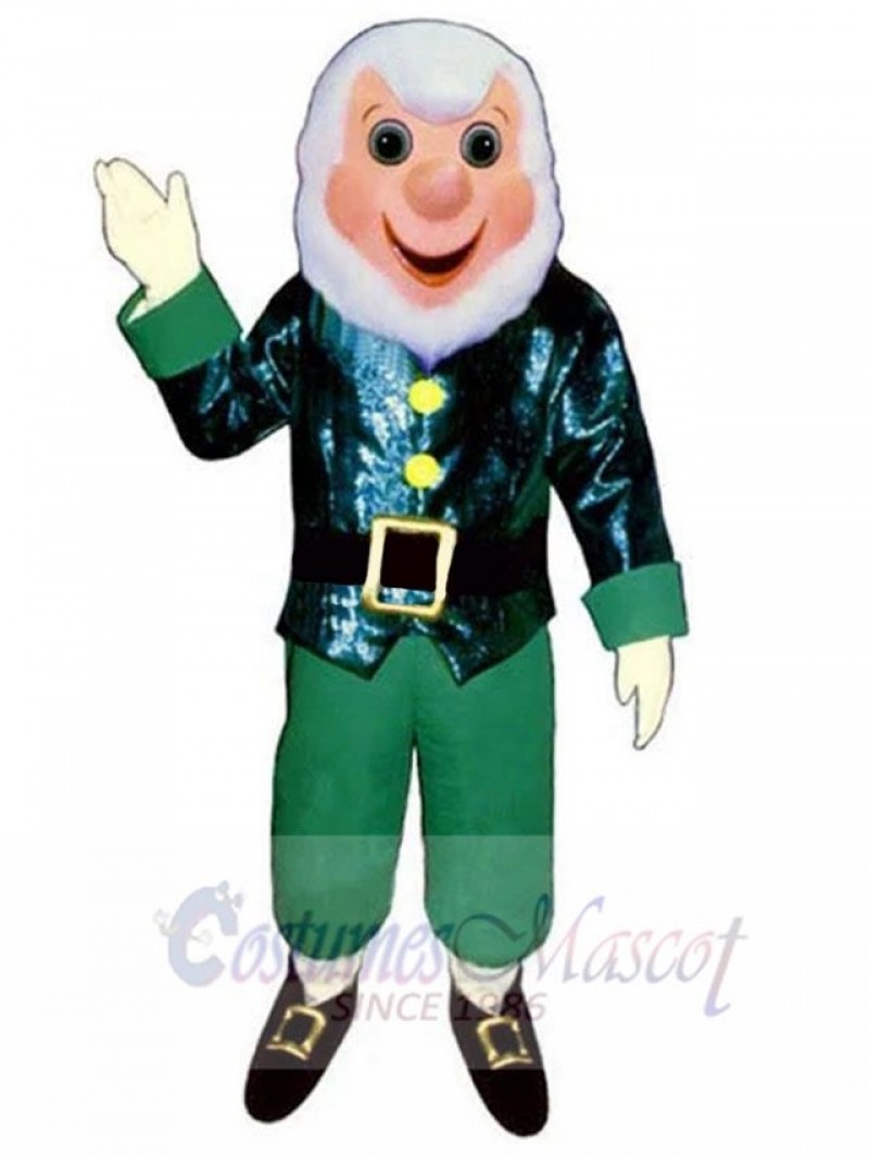 Elf mascot costume