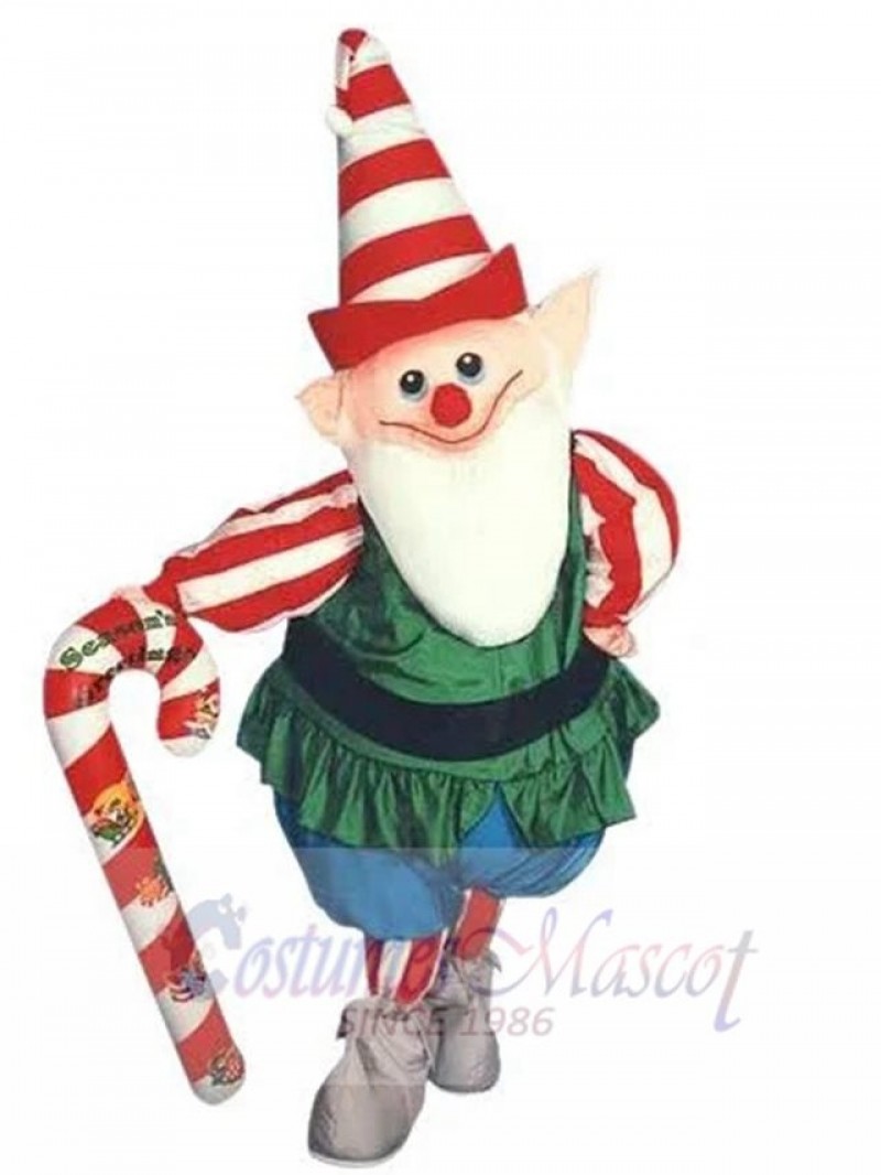 Elf mascot costume