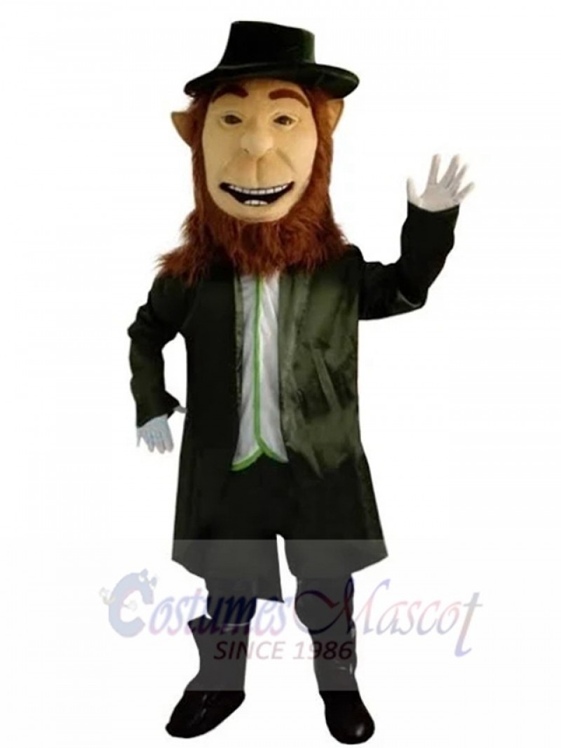 Leprechaun mascot costume